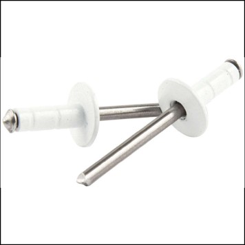 Medium Head Rivet White 250pk