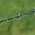 Wire Fencing - 12 1/2 OKBRAND BARB WIRE 4PT 1